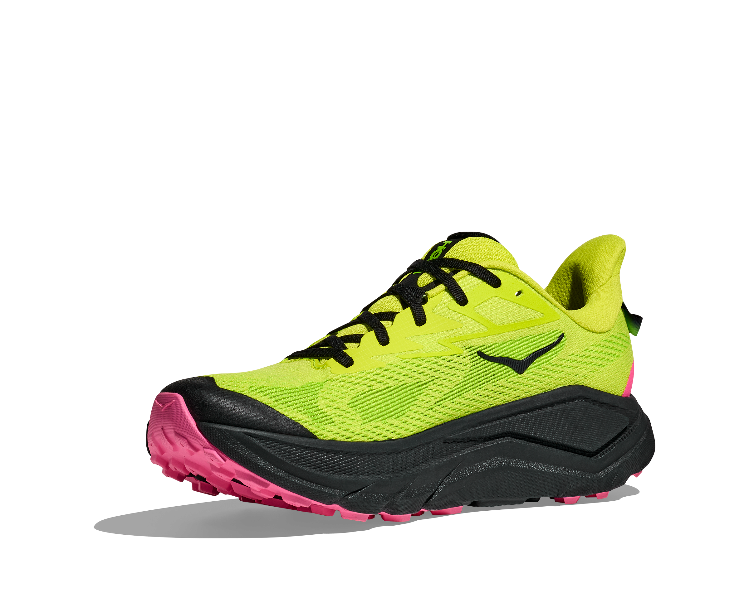 Schrägansich recher Schuh