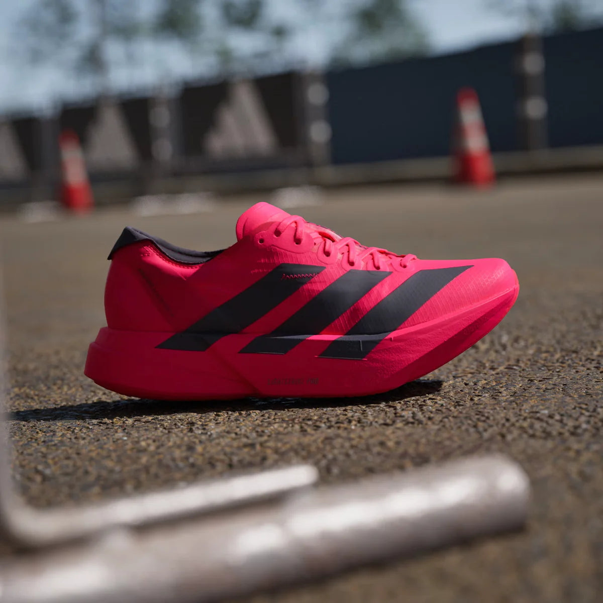 Adidas ADIZERO ADIOS Pro 4, Laufschuh, Damen, Lucid Red/Core Black/Lucid Red