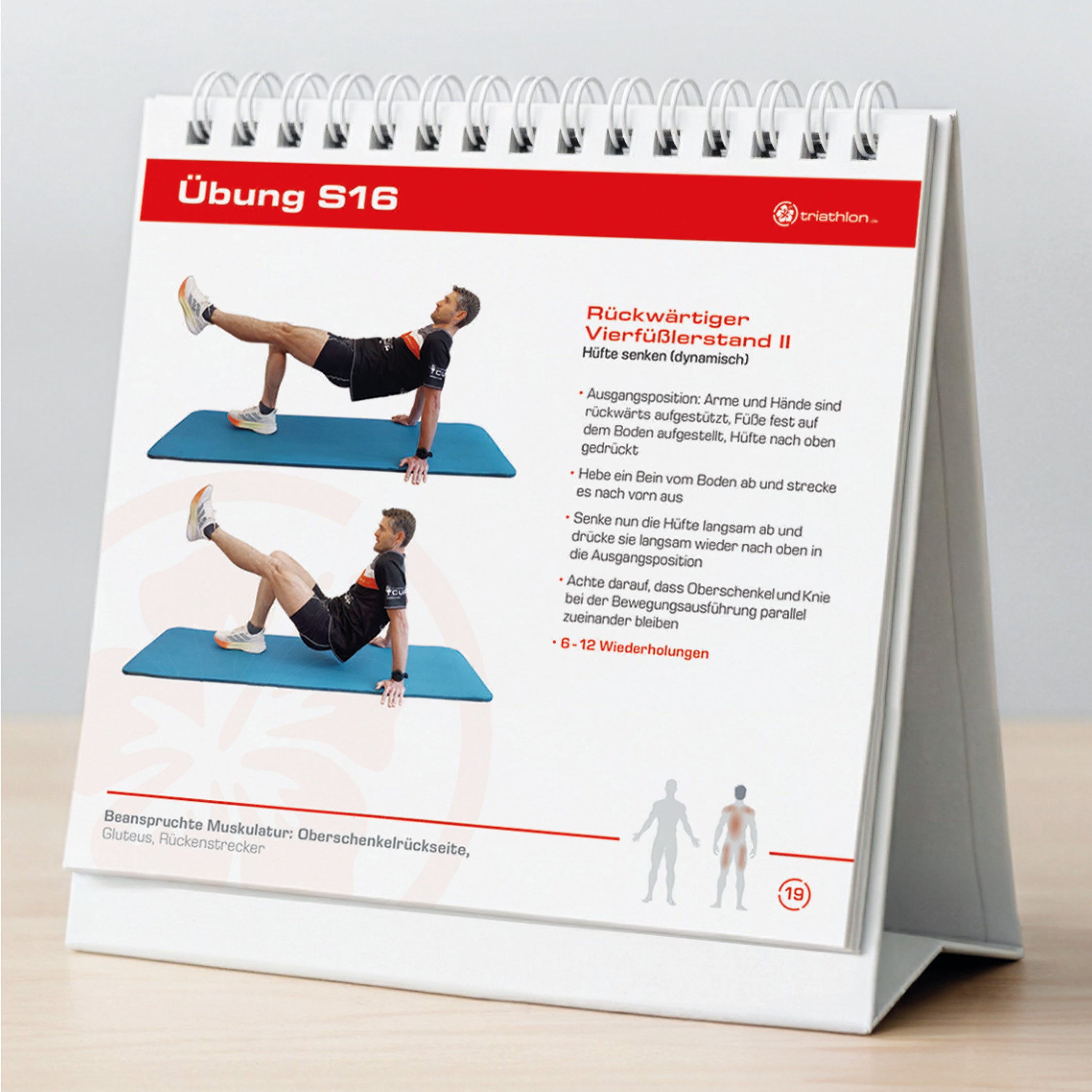 Workbook Stabilität & Mobilität