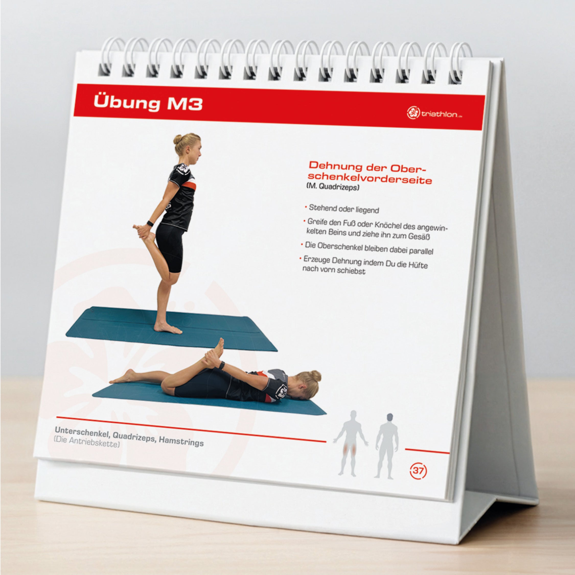 Workbook Stabilität & Mobilität